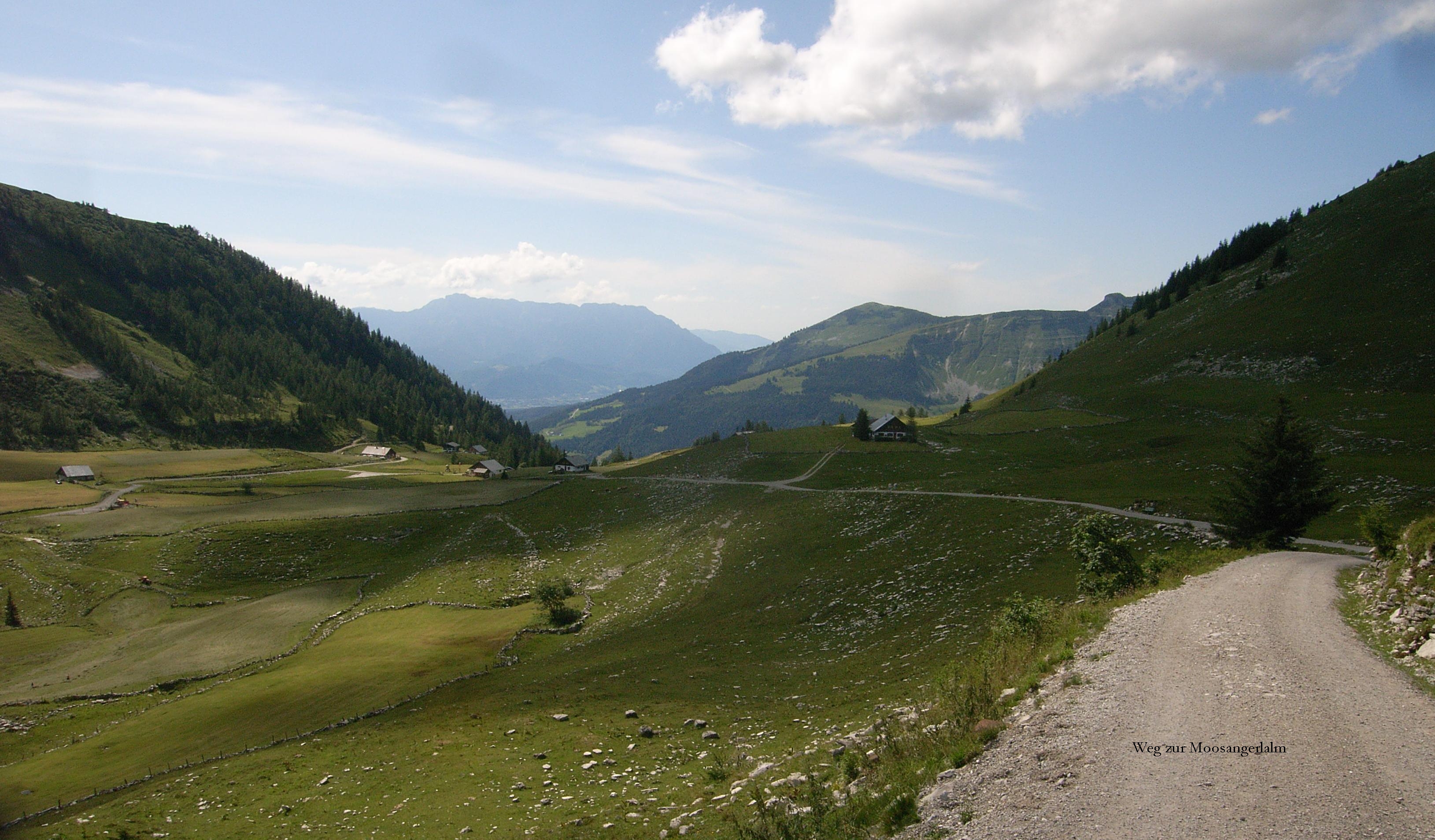 Hintertrattberg, Weg zur Moosangerlalm