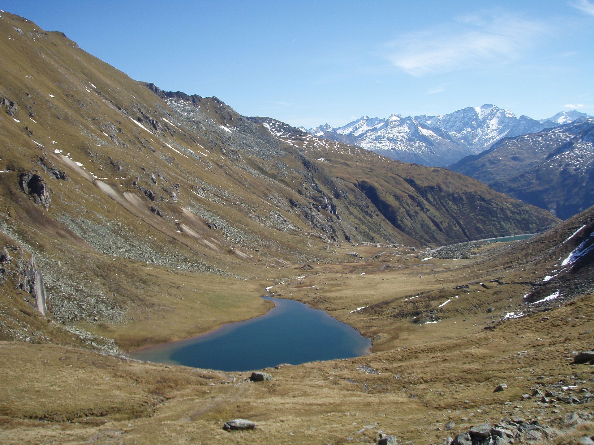 Bockharttal