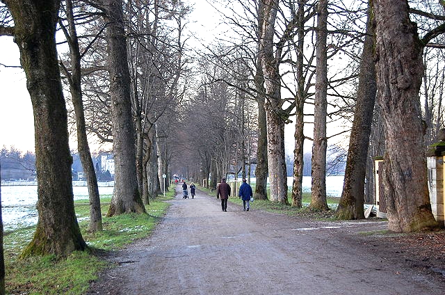 Hellbrunner Allee im Advent