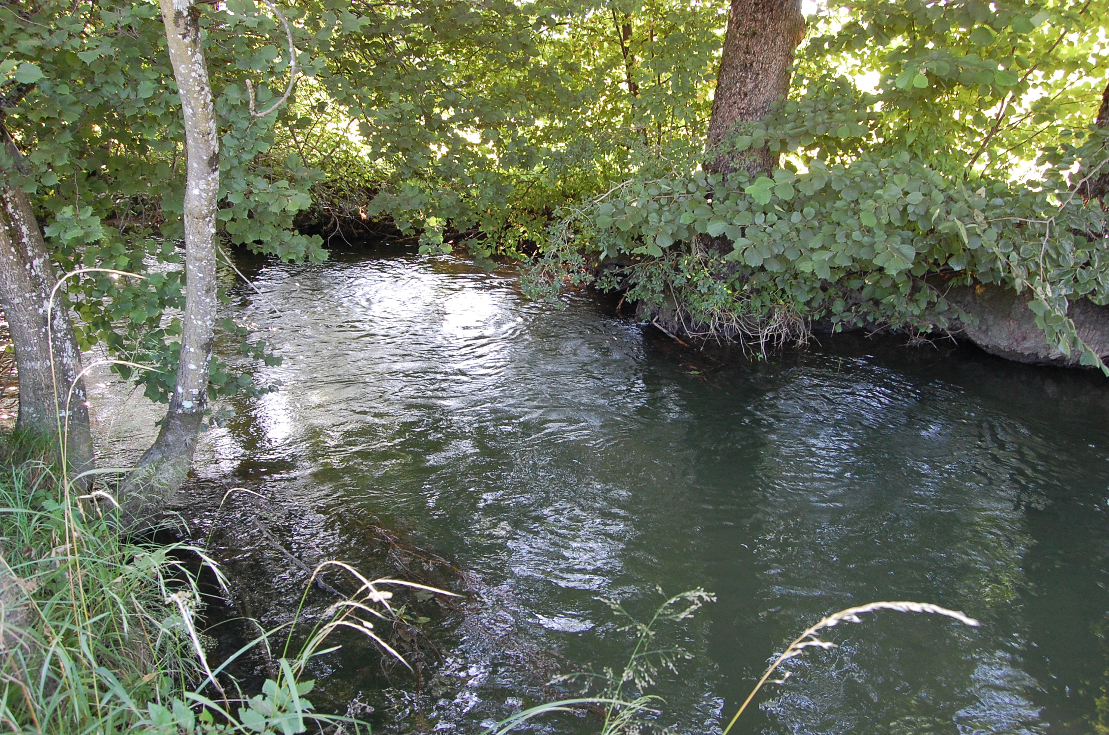 Zeller Ache bei der Erlachmühle
