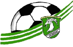 USC Eugendorf Logo.PNG