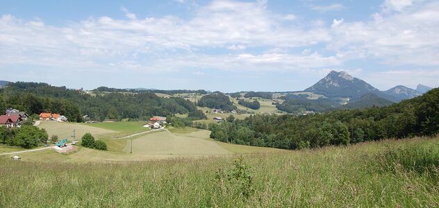 Verlauf der Wartenfelsstraße, Ansicht vom GH Alte Tann