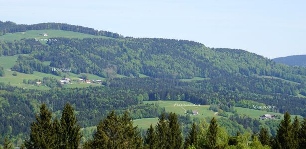 Thalgauberg-Ost mit Text