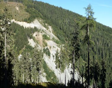 Die Hohe Blaike, eine großflächige Plaike im Dürnbachgraben im Gemeindegebiet von Neukirchen am Großvenediger