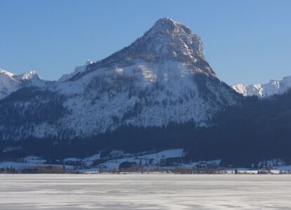 Der Sparber im Winter