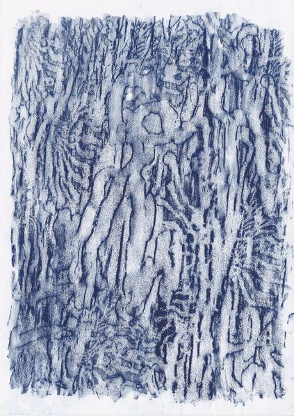 Datei:Wurmbild 2verkl..jpg