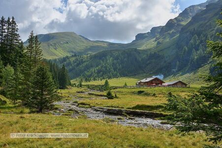 Der Lenzangerbach im Bereich der Durchgangalm.