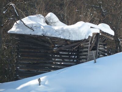 Die Zoomaufnahme vom 18. Februar zeigt das Ausmaß der Zerstörung durch den Schneedruck.