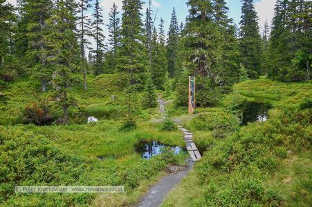 Am Weg durch den Rauriser Urwald vom oberen zum unteren Einstieg.