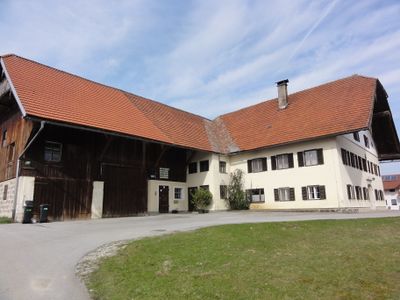Alberngut (April 2019)