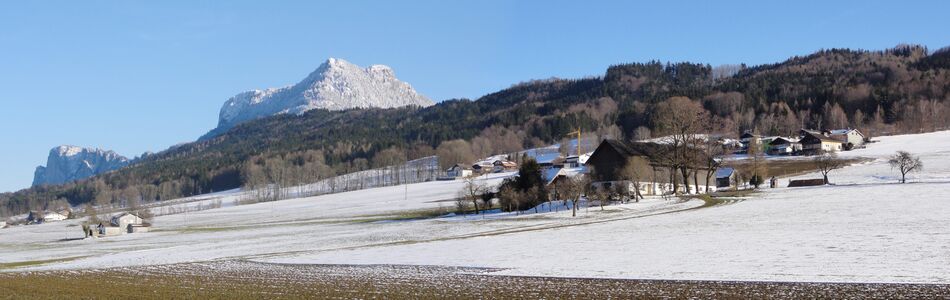 Elshubgut in Leithen, dahinter der Schober