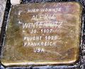 Stolperstein für Alexia Winternitz am Kapuzinerberg Nr. 5