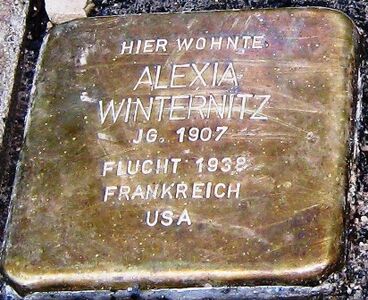Stolperstein für Alexia Winternitz am Kapuzinerberg Nr. 5