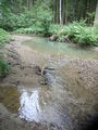 Änderungen des Bachverlaufes durch das Hochwasser 2002 Nähe Finkenschwandt