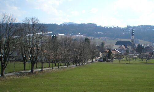 Nicolaus-Gaertner-Allee im Frühling
