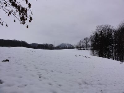 Kompenthalweg, oberer Bereich