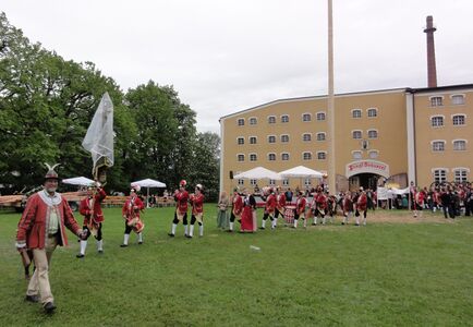 Auftritt von Johannes Rupert Franz als Hanswurst mit der Historischen Salzburger Bindertanzgruppe beim Stiegl-Maibaumfest 2012