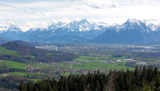 Ausblick vom Panoramarundweg nach Süden