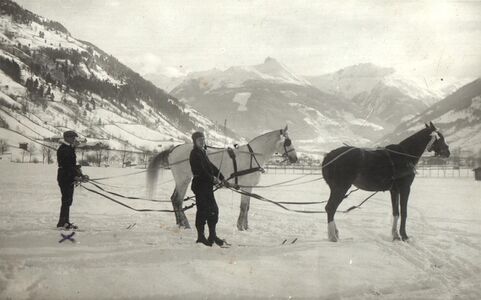 Karl Loidl beim Skijöring