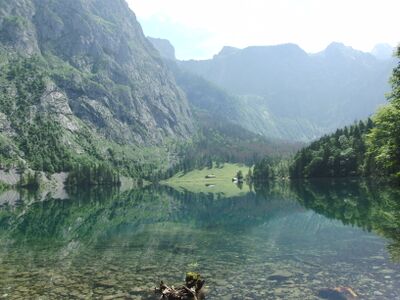 Obersee, Blick zum Südufer mit der Fischunkelalm