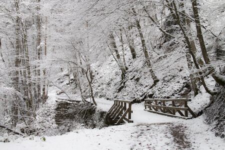 Der Weg in der Glasenbachklamm