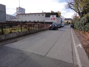 DSC07796.JPG