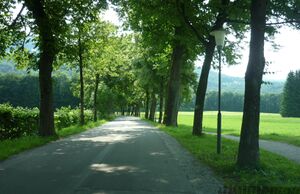 Graf-Revertera-Allee.jpg