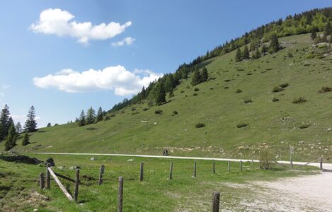Bleckwand-Westabhang zur Niedergadenalm