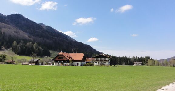 Perfallgut an der Perfalleckstraße in Fuschl