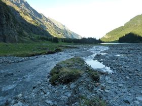 Das Bild zeigt den Felber Bach als Abfluss des Hintersees.