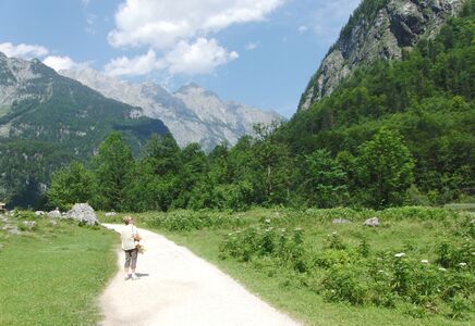 Bild vom Rückweg vom Obersee zum Königssee