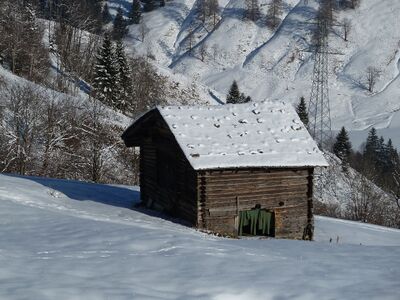 Zu einem Scherm umfunktionierter Heustadel mit Schwerdach in Hinterthal.