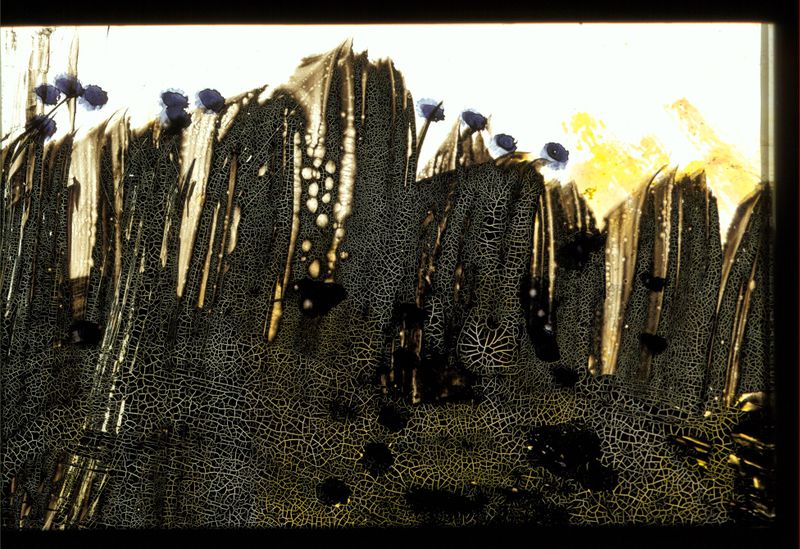 Datei:Chemogramm 2.JPG