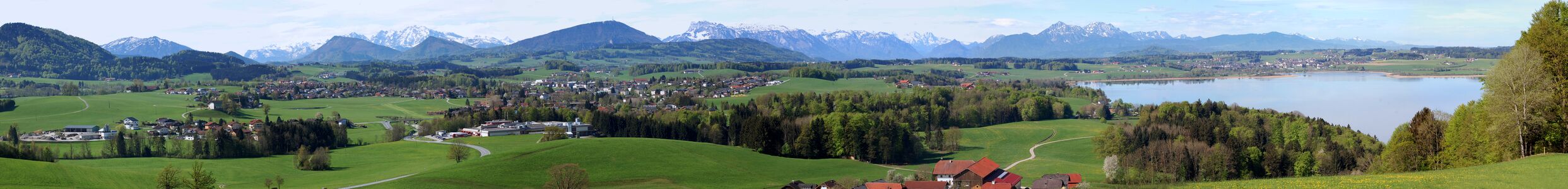 Distlgutpano, Frühjahr 2015