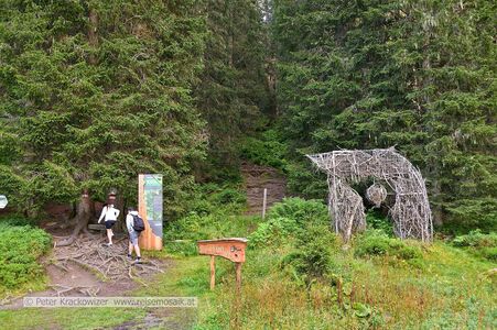 Hier der Beginn des Aufstiegs Lenzanger Parkplatz hinauf zum Rauriser Urwald.
