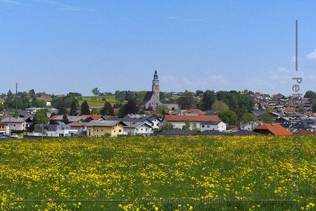 Marktzentrum von Straßwalchen von Holzfeld gesehen