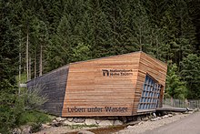 Datei:Leben unter Wasser.jpg