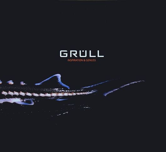 Datei:Gruell buch.jpg