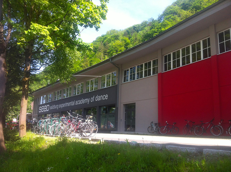 Datei:SEAD Fassade Sommer 2016.jpeg