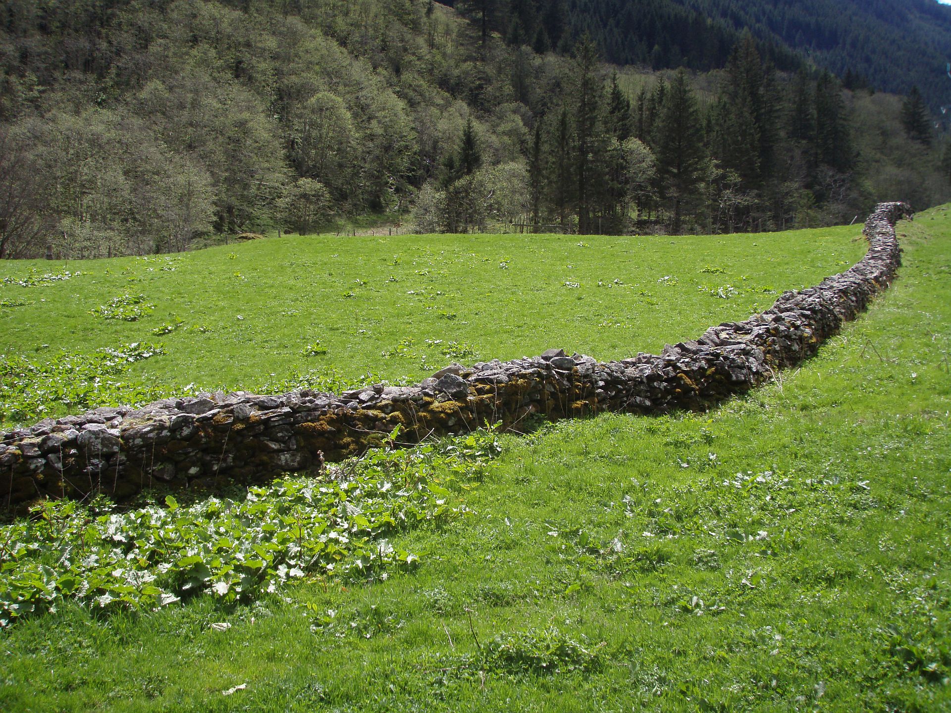 Steinhag in Form einer Klaubsteinmauer im Felbertal