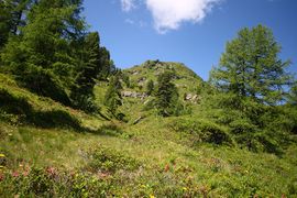 Schönalm weißpriach 29773 2016-07-10.jpg