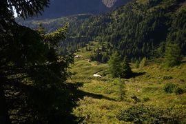 Wirpitschalm 30005 2016-07-10.jpg