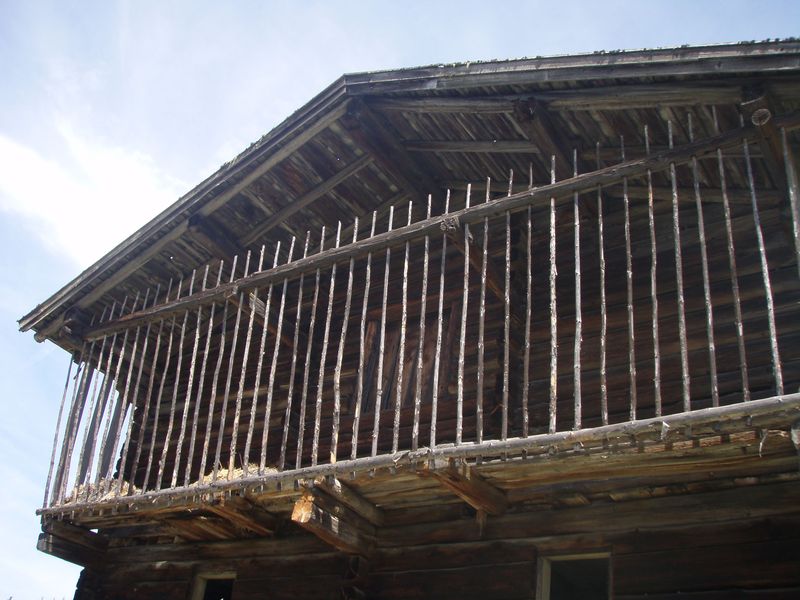 Datei:Laub- oder Schaubgang.jpg