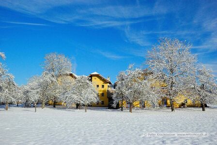 2011 11 30 Guglhof 01.jpg