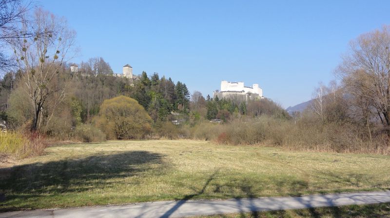 Datei:St. Peters-Weiher.JPG