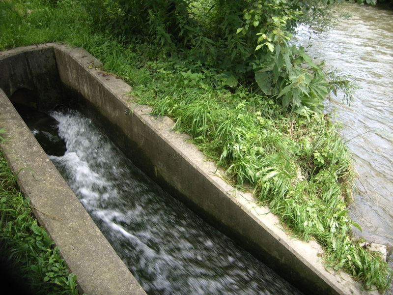 Datei:RIMG0027 geklärtes Wasser.jpg