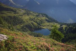 Wirpitschsee, untere-weißpriach 29632 2016-07-10.jpg