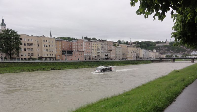 Datei:Amadeus Mai 2014.jpg