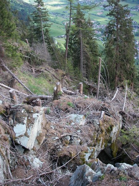 Datei:Windwurf 2007.JPG