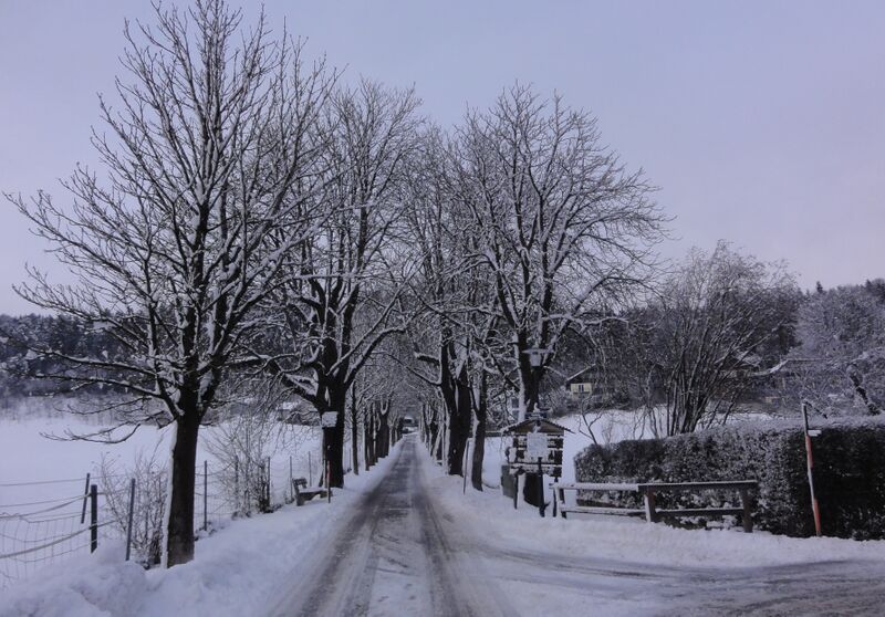 Datei:Nicolaus Gaertner-Allee.jpg